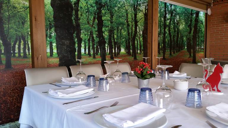 terraza de verano, restaurante en Madrid