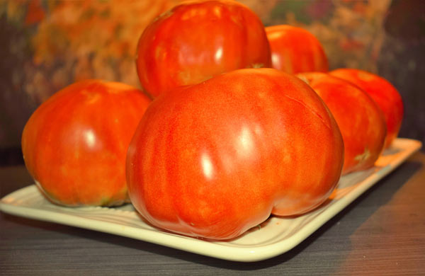 tomate de Huesca
