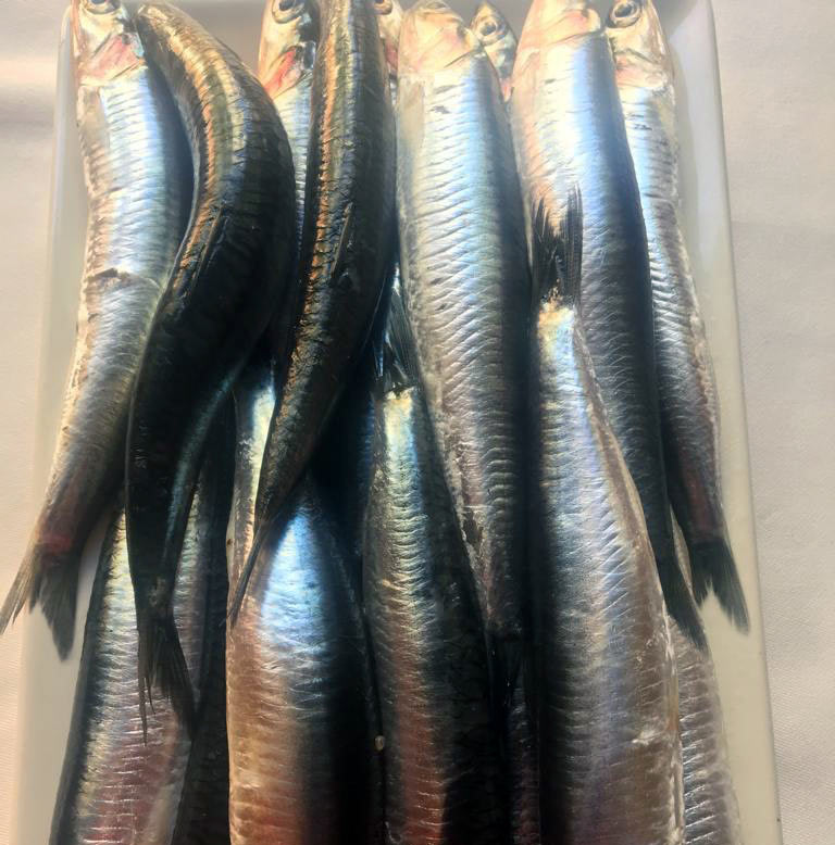 una de boquerones